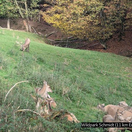 Eifel-Ferienhaus Landblick ヒュルトゲンヴァルト エクステリア 写真