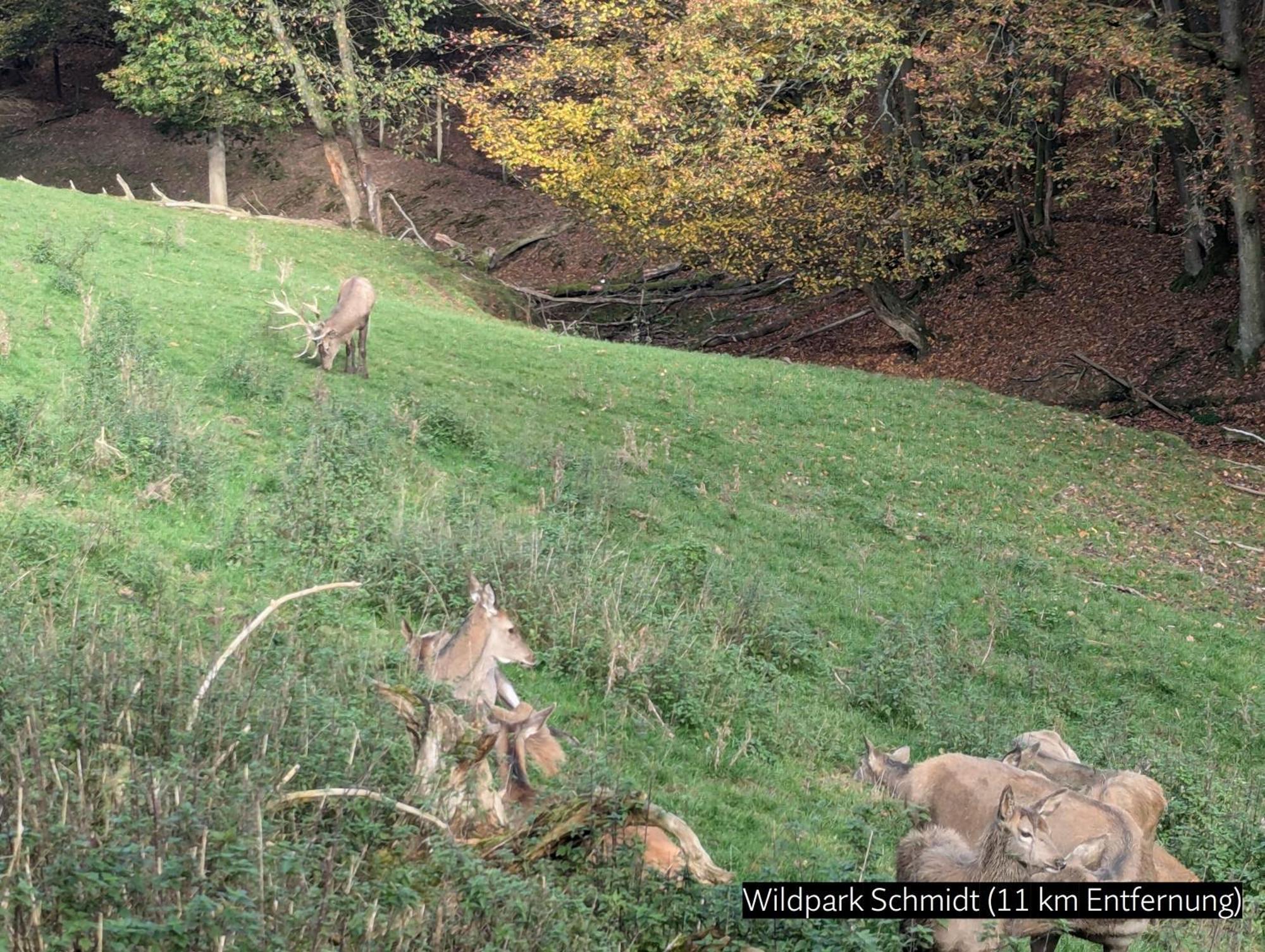 Eifel-Ferienhaus Landblick ヒュルトゲンヴァルト エクステリア 写真